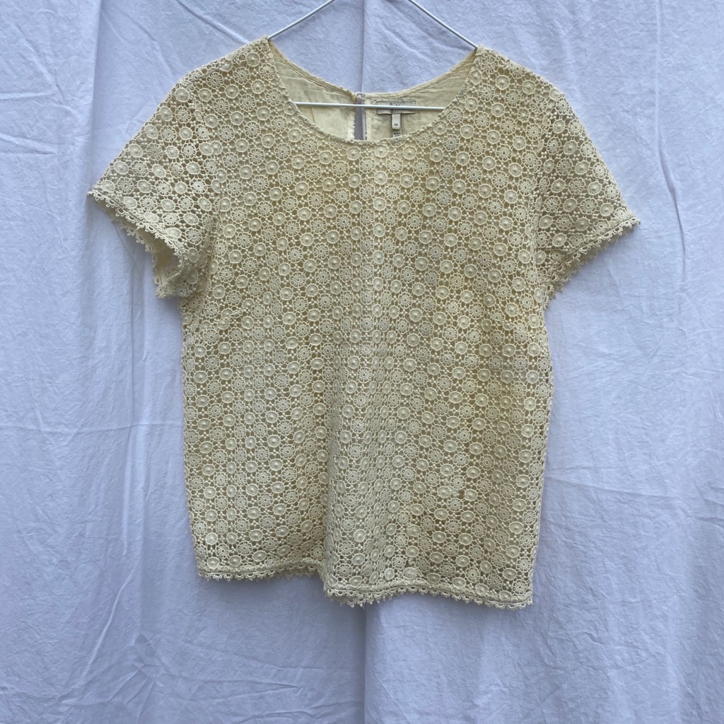 Joie Crochet Top